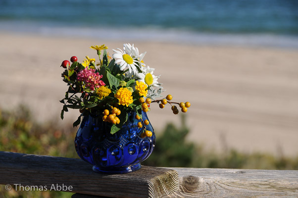 Wildflower Bouquet (2008)
