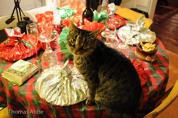 Gipsy Expecting Guests