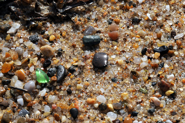 Beach Gems