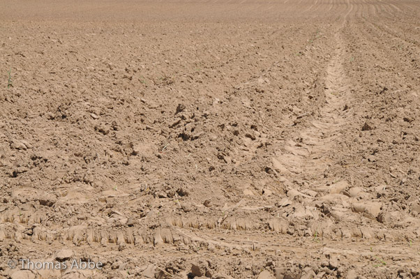 Fresh Plowed Field in Bridgehampton