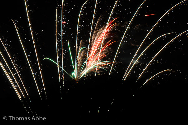Fireworks from Trees